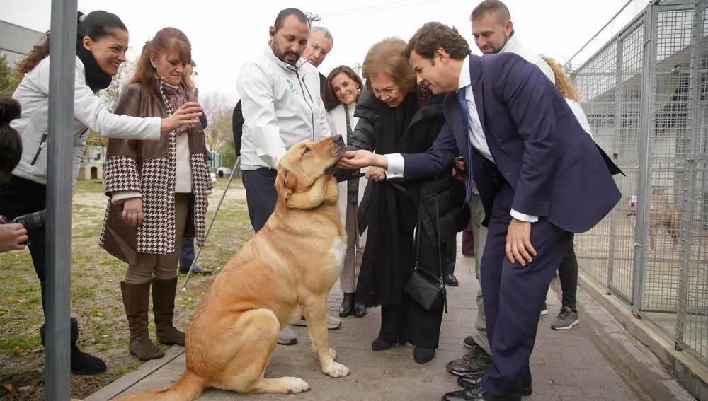 La Reina Doña Sofía visita el Centro Municipal de Protección Animal de Las Rozas 